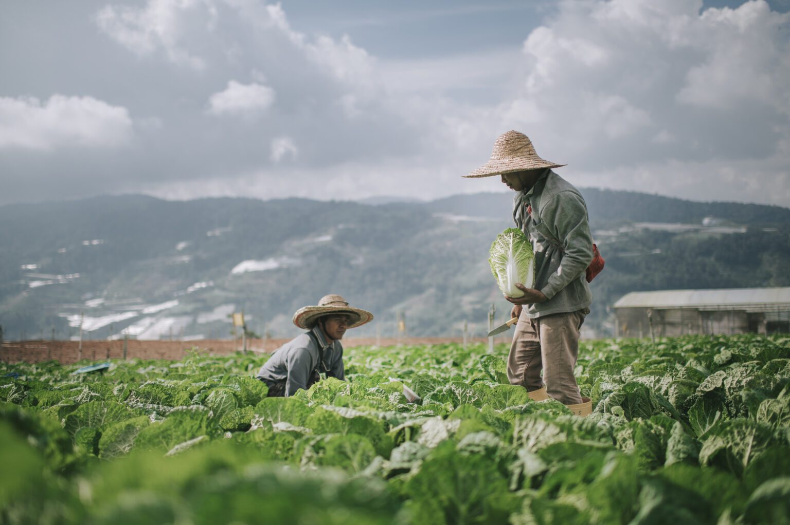 What Are The Challenges Of Smallholder Farmers Around The World