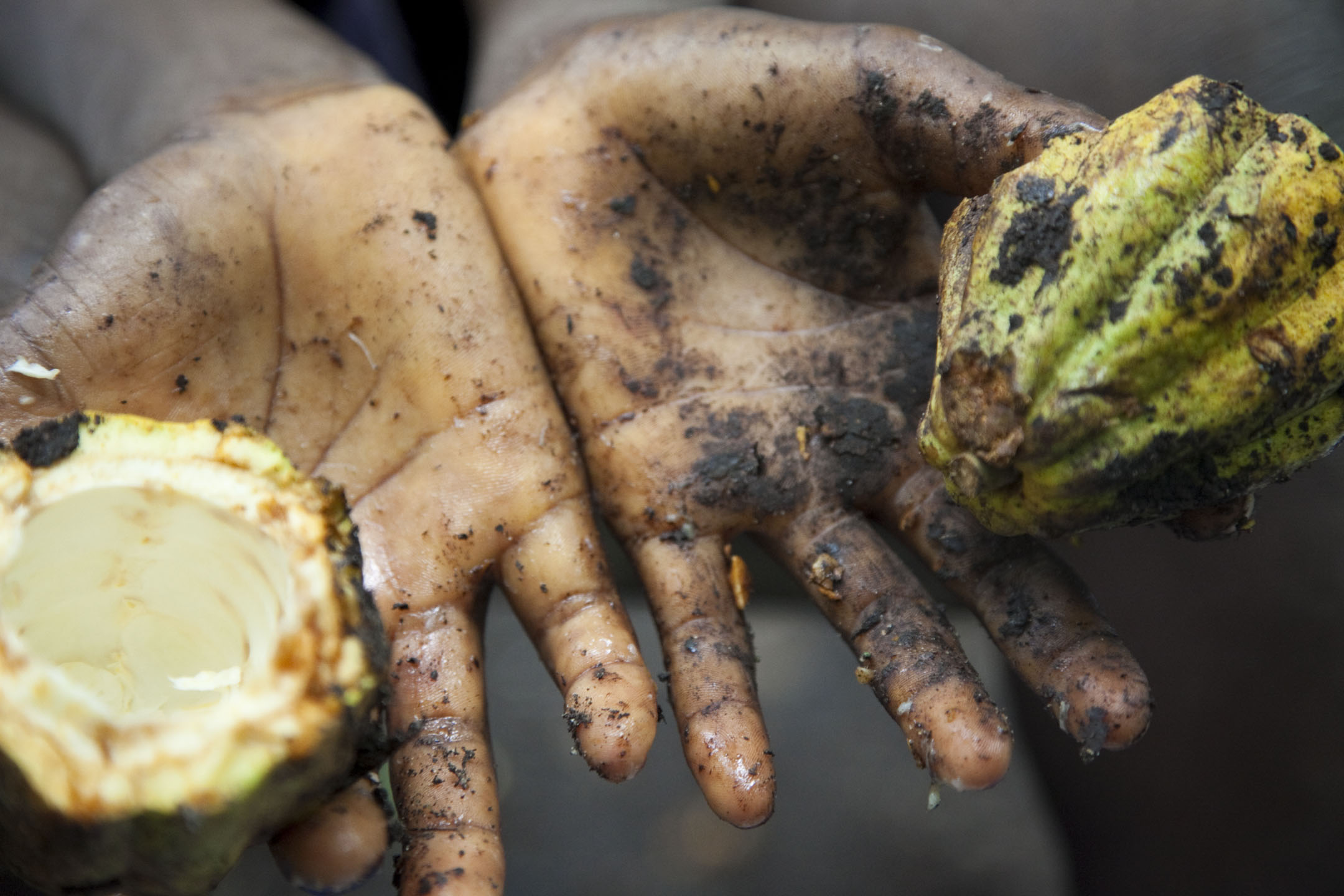 keeping-hunger-at-bay-bread-for-the-world