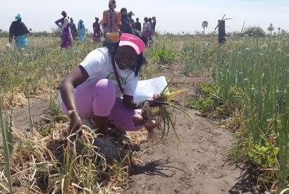 Faustine Wabwire of Bread for the World Institute joins young farmers in Kaolack, Senegal. Photo courtesy of Faustine Wabwire/Bread for the World.