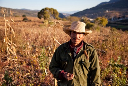 The U.S. agriculture system is heavily dependent on immigration labor. One of the repercussions of increasingly hostile conditions against unauthorized immigrants has been a shortage of farm labor. Photo: Laura Elizabeth Pohl / Bread for the World.
