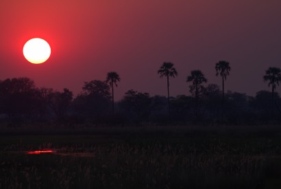 Sunset in the Okavango Delta, Botswana. Wikimedia Commons. 