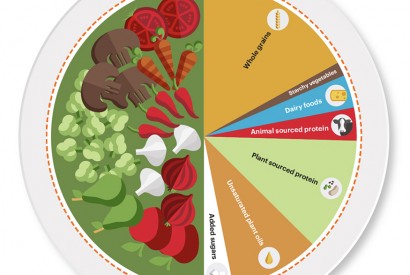 Planetary Health Plate. The EAT Lancet Commission