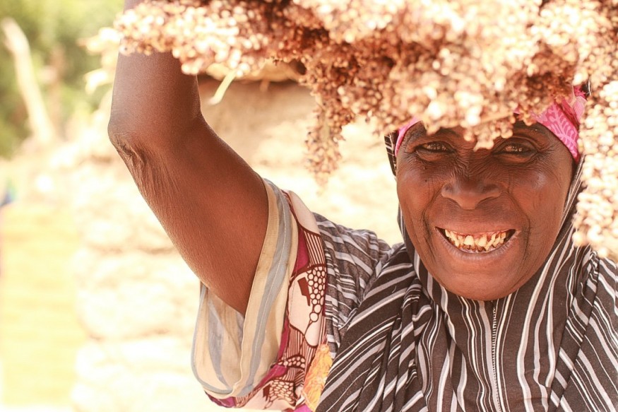 Salamatou, a mother of nine, has 120 trees on her three hectares of land. Joelma Pereira/World Vision