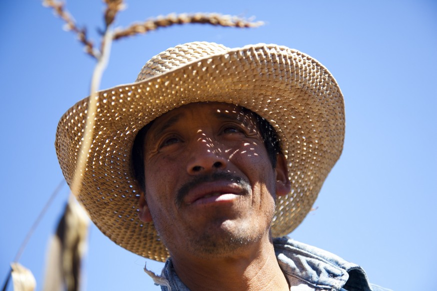 Santiago Cruz, a farmer in Oaxaca, Mexico. Photo: Laura Pohl / Bread for the World