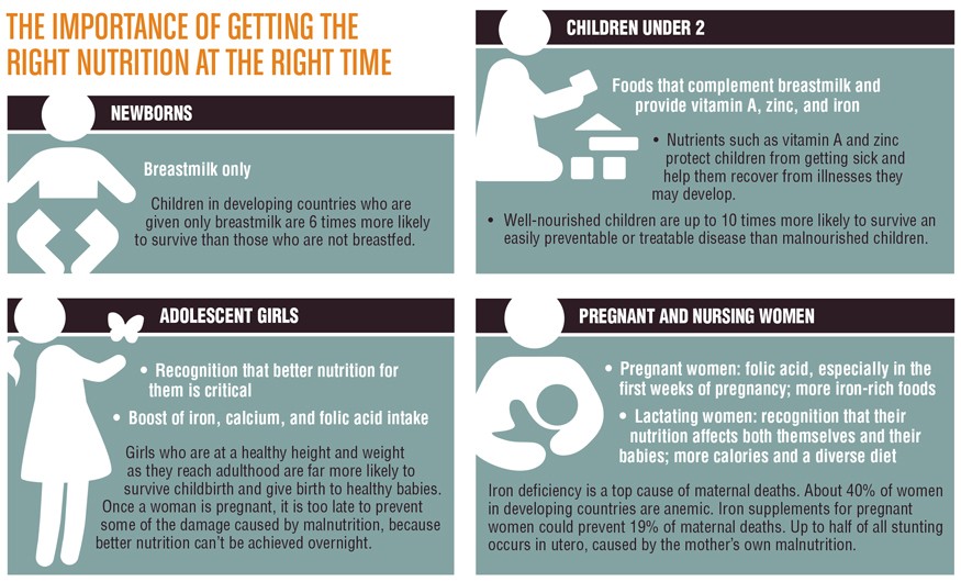 The Importance of Getting the Right Nutrition at the Right Time. Infographic by Doug Puller / Bread for the World