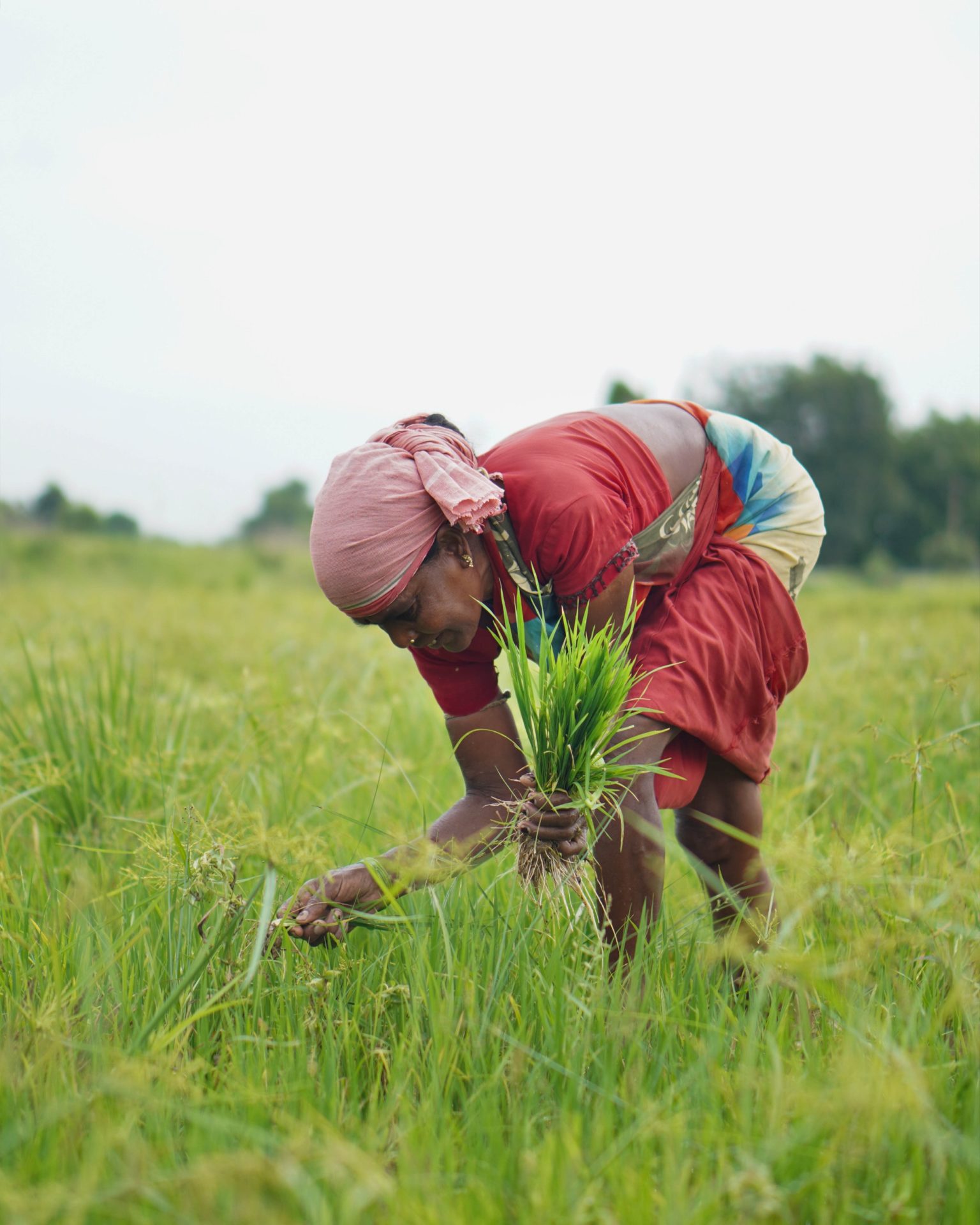 keeping-promises-on-hunger-and-climate-change-bread-for-the-world