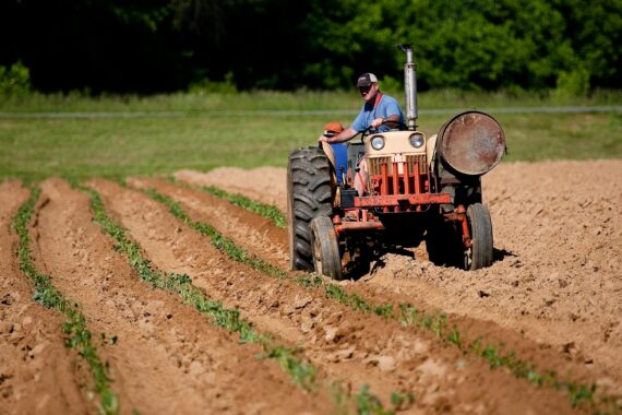 A man on a red tractor in a field